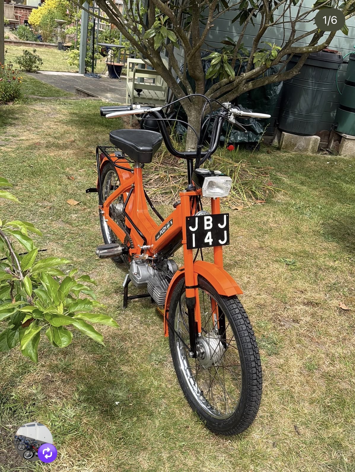 50cc Maxi Build